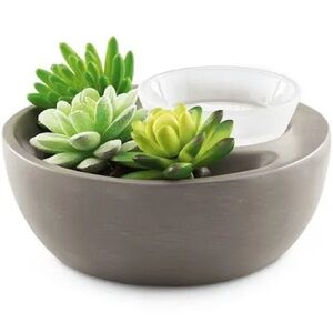 Scentsy little garden